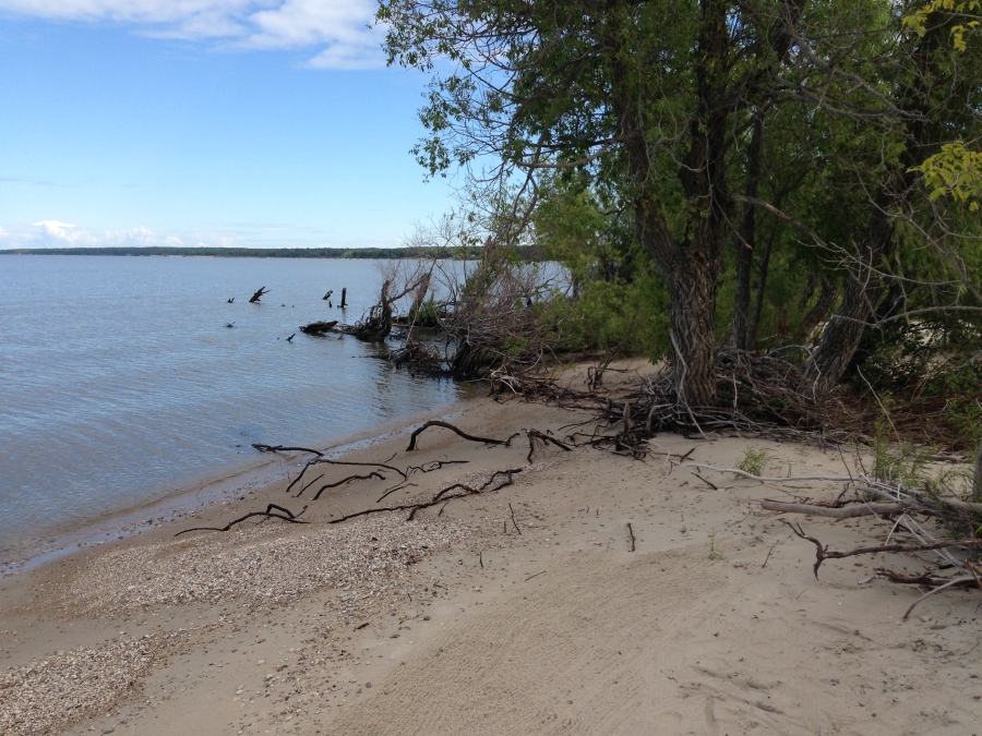 Beaconia Beach Beaconia Beach Manitoba